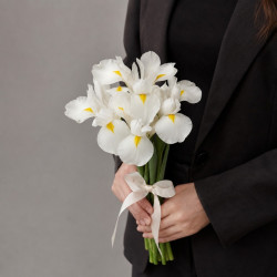7 белых ирисов